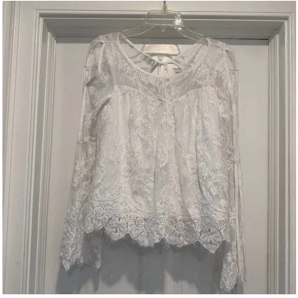 Gorgeous Lace Top - Picture 1 of 8